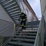 Finnentest Frühjahr 2026 (17)