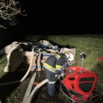 Gemeinschaftsübung (5)