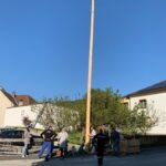 Maibauaufstellen_2025 (4)