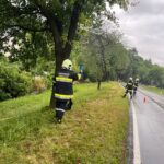 T1_VU Kalkofen (8)