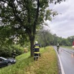 T1_VU Kalkofen (9)