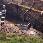 Übung im Musikheim 2026 (3)