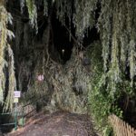 Uwettereinsatz_Kalvarienberg (21)