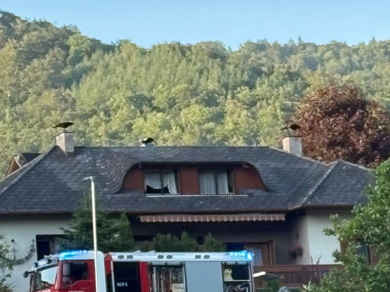 Brandeinsatz_Kiesling (12)