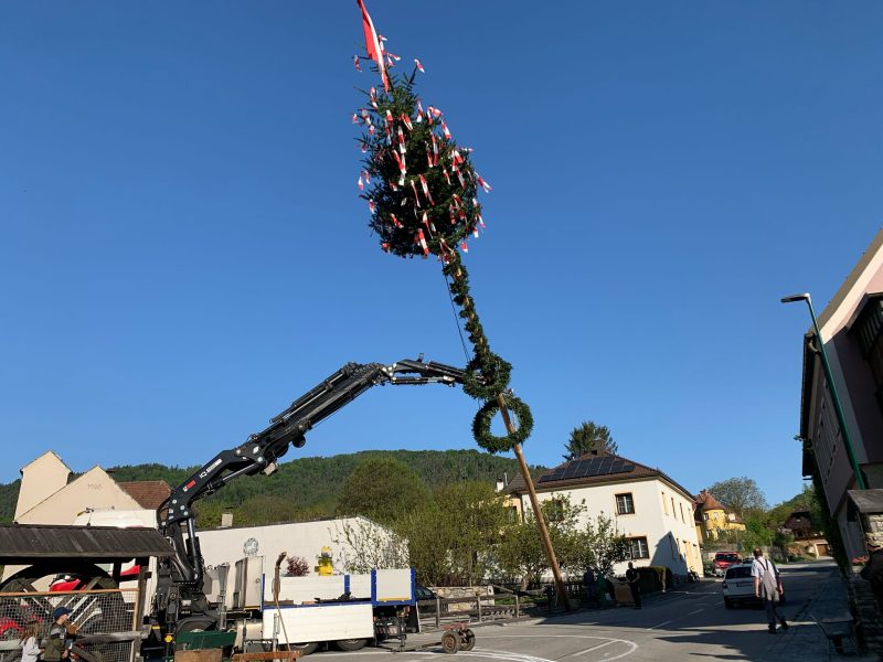 Maibauaufstellen_2025 (10)