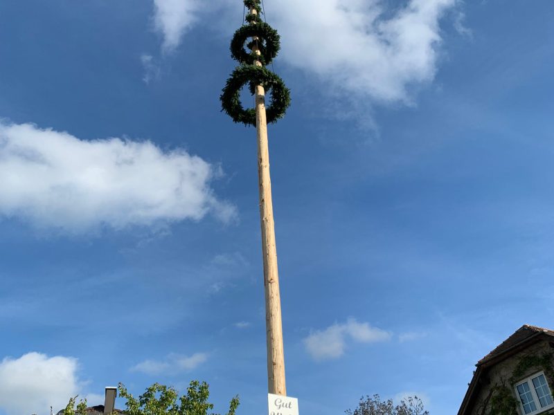 Maibaum aufstellen 2024 (2)